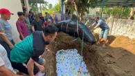 Ngư dân vùng biển an táng cá voi dài hơn 3,7 m lụy bờ