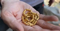 Nhân viên vệ sinh sốc nặng khi nhặt được số vàng trị giá hơn 350 triệu đồng trong túi rác