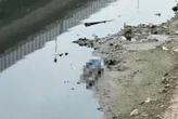 Vụ thi thể nam giới trên sông Tô Lịch, Hà Nội: Nạn nhân sinh năm 1972, từng có bệnh nan y