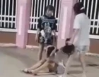 Thêm 2 vụ việc đáng buồn đối với ngành giáo dục ở An Giang