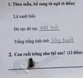 Bài văn tả con ruồi của một học sinh khiến dân tình cười vỡ bụng: Rất MẤT VỆ SINH nhưng đúng với thực tế!
