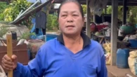 Thái Lan: Chồng đột nhiên mất tích, 3 năm sau vợ kinh hãi phát hiện 1 bộ xương dưới bể phốt ngay trong vườn