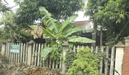Gia cảnh trắc trở và ‘vết trượt’ của nghi can đâm chết vợ và hai người nghi tình địch
