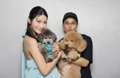 Á hậu Việt lộ dấu hiệu mang thai sau lễ dạm ngõ với bạn trai doanh nhân?
