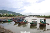 Hàng trăm tàu thuyền vào neo đậu tránh trú bão số 10