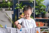 3 dấu hiệu XUNG QUANH NHÀ cho thấy con cái tương lai sẽ thành đạt - Hoàn toàn không phải mê tín
