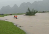 Cùng mẹ đưa trâu đi tránh lũ, nam sinh 16 tuổi bị lũ cuốn mất tích