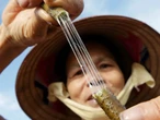 Thứ Việt Nam từng coi là phế phẩm bỏ đi: Trở thành mặt hàng quý hiếm, đắt đỏ bậc nhất thế giới, 1m tới 30 triệu đồng