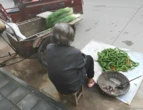Mẹ làm 3 công việc nuôi con du học 8 năm, con gái về nước thẳng tiến nhà bạn trai, mẩu giấy trong vali xé toạc nỗi đau tình thân