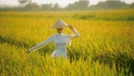 Điều đặc biệt của ca khúc Tùng Dương thể hiện tại Lễ kỷ niệm 2/9