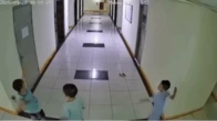 Vụ bé trai ném dép làm hỏng 2 thang máy: Nhân chứng ngửi thấy mùi khét nồng nặc, cư dân nỗ lực tát nước