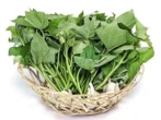 Loại rau xưa người Việt hay cho lợn ăn, nay "trời Tây" bán hơn 1 triệu/kg