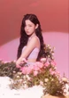 Nhóm nữ than thở vì gần 1 năm chưa được comeback: Bị HYBE bỏ quên do thành tích quá tệ?