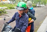 Gió to, cây xanh bật gốc đè bị thương người đi đường tại Bình Định