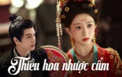 Thiều Hoa Nhược Cẩm: Tống Uy Long 4 lần cứu mỹ nhân, quyền mưu lẫn ngôn tình đan cài, vừa hài hước vừa cuốn