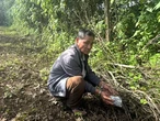 Đôi tình nhân nuôi gần 10 con chó dữ để thuận lợi tẩu tán ma tuý