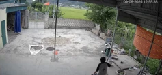 Đang ngồi trong nhà, nữ sinh bất ngờ chạy vụt ra sân khiến dân tình thót tim: Con nhà nông chắc hiểu dữ lắm!