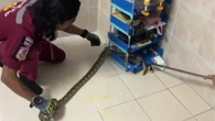 Trời nóng nên để cửa mở rồi đi ngủ cho mát, 3 giờ sáng cặp đôi tỉnh dậy phát hiện cảnh tượng đáng sợ
