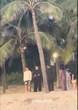 "Đại hội xả source" Jimin - Jungkook tại Việt Nam: 2 nam thần BTS ngắm bình minh, làm 1 điều khiến fan thót tim