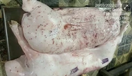 Đoàn kiểm tra mời chủ các cửa hàng Fresh Shop - Công ty C.P ở Sóc Trăng làm việc
