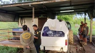 Đêm không thấy chồng về nhà, sáng hôm sau vợ ra gara kiểm tra thì bắt gặp cảnh tượng ám ảnh