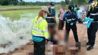 Thái Lan: Cháu trai bị ông rút súng bắn tử vong ngay trên cánh đồng, nghe lời khai của nghi phạm mà xót xa