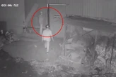 Công an TPHCM cảnh báo thủ đoạn lừa đảo du lịch, trộm cướp trong dịp nghỉ lễ 30/4