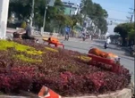 Tâm sự của chủ quán nước trúng vé số giải độc đắc rồi cúng 5 con heo quay