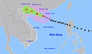 Bão số 11 Matmo đang ở giai đoạn mạnh nhất, từ tối nay ảnh hưởng đến Đông Bắc Bộ