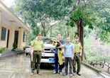 "Vị khách lạ" đáp xuống nhà dân, không ngờ là loài quý hiếm, nguy cấp