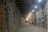 Đem sinh vật cổ đại trong hầm quân sự sâu 100m dưới đất về, chuyên gia hoang mang: 'Chúng đang sống lại'