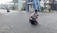 Dự báo thời tiết ngày 25/10: Miền Bắc trời lạnh, miền Trung cục bộ mưa rất to