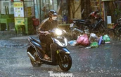 Từ đêm nay miền Bắc chuyển mưa dông