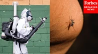 Loại virus khiến Trung Quốc phải kích hoạt kiểm soát dịch như thời Covid-19 đã xuất hiện ở quốc gia khác
