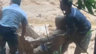 Clip: Công nhân lái máy múc được cứu thoát hy hữu khỏi lũ bùn ở Đà Nẵng