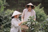 Tay Anh Giữ Một Vì Sao - Phát “tín hiệu” cho phim tình cảm trở lại màn ảnh