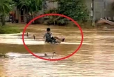 Cứu sống nam sinh lớp 7 bị lũ cuốn trôi khi đi qua đoạn đường ngập