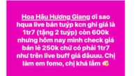Hoa hậu Việt lên tiếng nghi vấn tung deal ảo trên livestream, lừa dối khách hàng