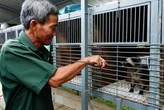 Cãi vợ nuôi con "đặc sản" dân nhậu thích mê, lão nông kiếm bộn tiền