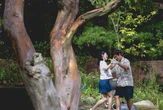 Son Ye Jin làm gì để cứu vớt cuộc hôn nhân đang vụn vỡ?