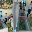 Tạm giữ hình sự ông chủ lò mổ Lê Mạnh Đáng