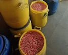 Điều tra suốt 2 tháng, triệt phá đường dây sản xuất thuốc giả, thu giữ gần 200 kg thuốc nhái Panadol, Johnson & Johnson, GSK…