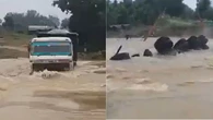 Tài xế xe tải mất tích khi cố lái xe vượt qua dòng nước lũ