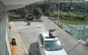 Ngã khỏi mái nhà, người đàn ông rơi trúng ô tô và cái kết