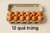 Học tiếng Việt cả đời có khi bạn cũng không biết: Từ nào có đến 12 chữ "T"?