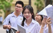 Giữa cơn sốt AI, phụ huynh và học sinh đổ xô vào Khoa học máy tính, chuyên gia nói: "Làm chủ" tương lai phải là ngành này!