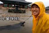 Video AI giả cảnh lũ lụt tại cung điện gây lo ngại về deepfake ở Hàn Quốc