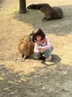 Cho trẻ xê dịch sớm: Không chỉ là chuyện "du lịch đổi gió" mà còn là cách giúp con phát triển cả IQ lẫn EQ