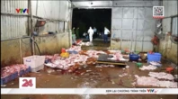 Vụ triệt phá 3 đường dây giết mổ, buôn bán lợn bệnh tại Hà Nội: Tuồn cả nghìn con lợn bệnh ra thị trường, thu lợi 400 triệu chỉ trong 2 tháng