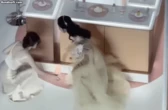 Lần đầu tiên Trung Quốc có mỹ nhân sở hữu fancom đạt 10 triệu tim: Visual được ông trời thiên vị, không nổi tiếng mới lạ